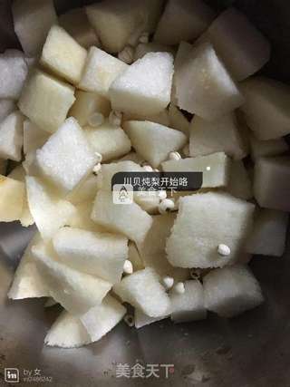 川贝炖雪梨燕窝的做法步骤:5