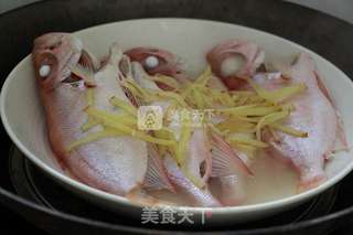 营养美味【清蒸红目鱼】的做法步骤:5