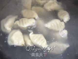胡萝卜羊肉馅饺子的做法步骤:9