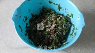 香芹猪肉水饺的做法步骤:3