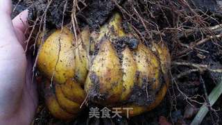 百合雪梨银耳羹的做法步骤：1