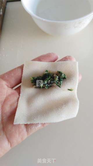 荠菜馄饨的做法步骤:12
