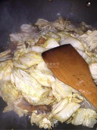白菜猪肉炖粉条的做法步骤:6