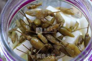 泡椒酸辣萝卜条的做法步骤:4