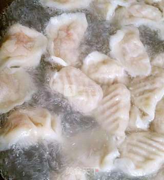 羊肉胡萝卜水饺的做法步骤:10