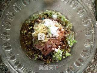 全麦面猪肉萝卜馅饺子的做法步骤:5