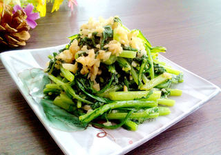蒜蓉茼蒿的做法步骤:6
