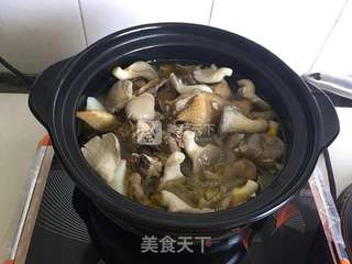 山药蘑菇土鸡汤的做法步骤:7
