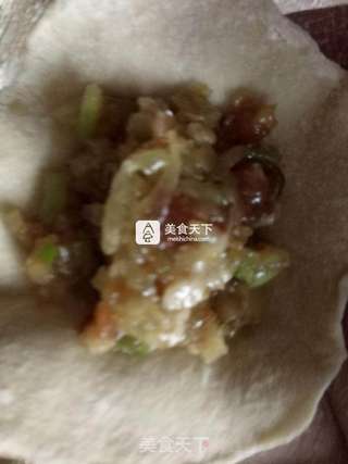 全麦面猪肉萝卜馅饺子的做法步骤:10