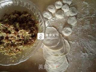 全麦面猪肉萝卜馅饺子的做法步骤:9