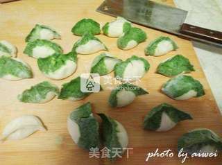 翡翠猪肉白菜水饺的做法步骤:17
