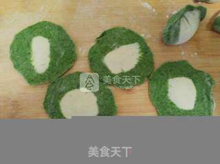 翡翠猪肉白菜水饺的做法步骤:16