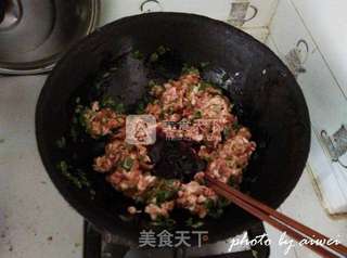 翡翠猪肉白菜水饺的做法步骤：6