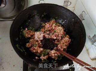 翡翠猪肉白菜水饺的做法步骤:6