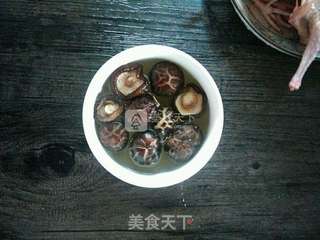 党参枸杞鸽子汤的做法步骤：3