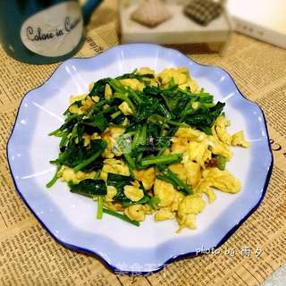 菠菜炒鸡蛋的做法步骤:7