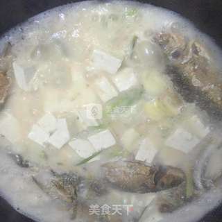 奶白鲫鱼豆腐汤的做法步骤:8