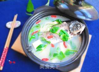 冬季补钙佳品--豆苗鲫鱼豆腐汤的做法步骤:5
