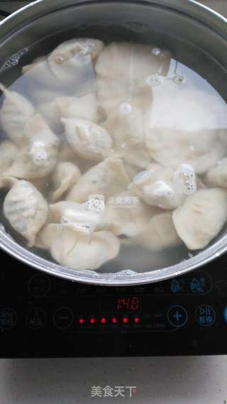 荠菜白菜猪肉水饺的做法步骤：12