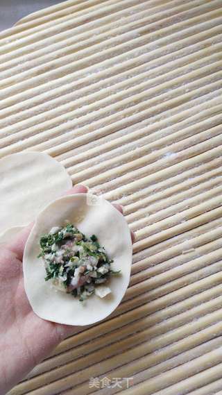 荠菜白菜猪肉水饺的做法步骤:11