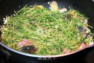 上汤豆苗的做法步骤:7