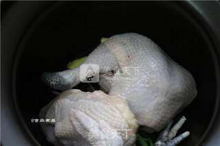 姜葱砂锅鸡的做法步骤:6