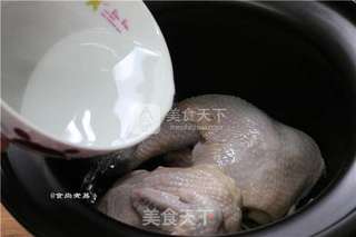 姜葱砂锅鸡的做法步骤:7