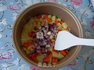 土豆胡萝卜焖饭的做法步骤:14