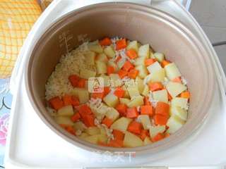 土豆胡萝卜焖饭的做法步骤:11