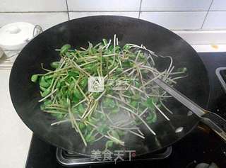 平价小炒——蒜香黑豆苗的做法步骤:4