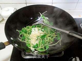 平价小炒——蒜香黑豆苗的做法步骤:5