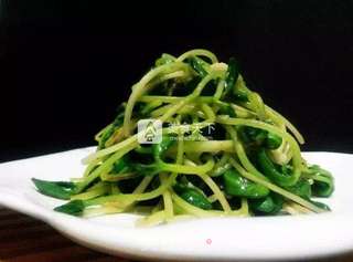 平价小炒——蒜香黑豆苗的做法步骤:6