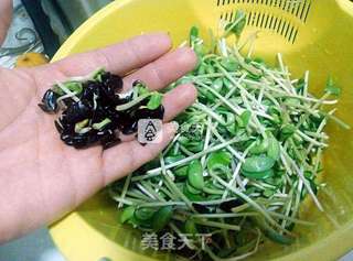 平价小炒——蒜香黑豆苗的做法步骤:3