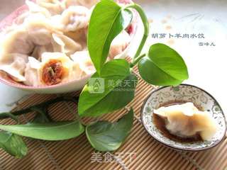 羊肉胡萝卜饺的做法步骤:11