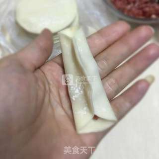 鲜肉锅贴的做法步骤：3