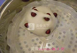 红枣胖馒头的做法步骤:7