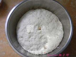 红枣胖馒头的做法步骤:4