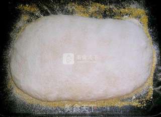 意大利恰巴达面包(Ciabatta Bread)的做法步骤：6