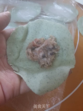 翡翠白菜饺的做法步骤:14