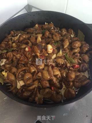 肥肠煲的做法步骤:11