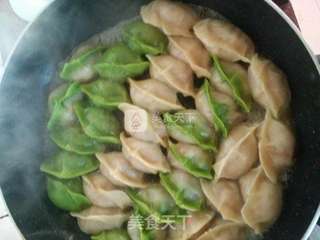 白菜猪肉煎饺的做法步骤:5