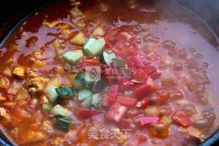 杂蔬鸡肉浇汁饭的做法步骤：8