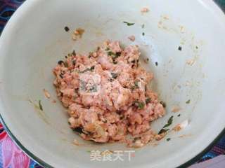 鲜肉白菜包的做法步骤:2