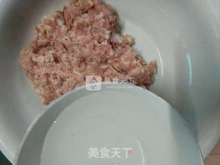 韭菜猪肉陷饺子的做法步骤:5