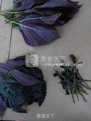 爱上了紫苏独特的香气【紫苏烧鸭】的做法步骤:2