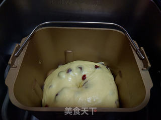 蔓越莓小餐包的做法步骤:5