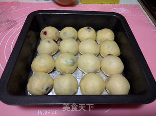 蔓越莓小餐包的做法步骤:9