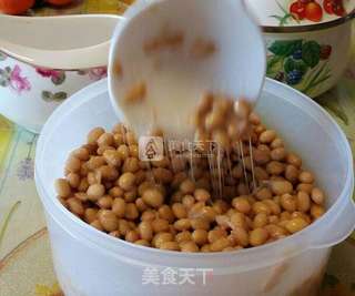 营养纳豆的做法步骤:9