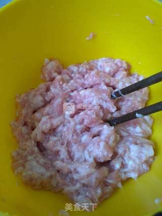 韭菜猪肉水饺的做法步骤:5