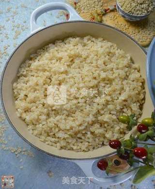 私菜食谱经－－糙米饭【铁铸锅版】的做法步骤：14